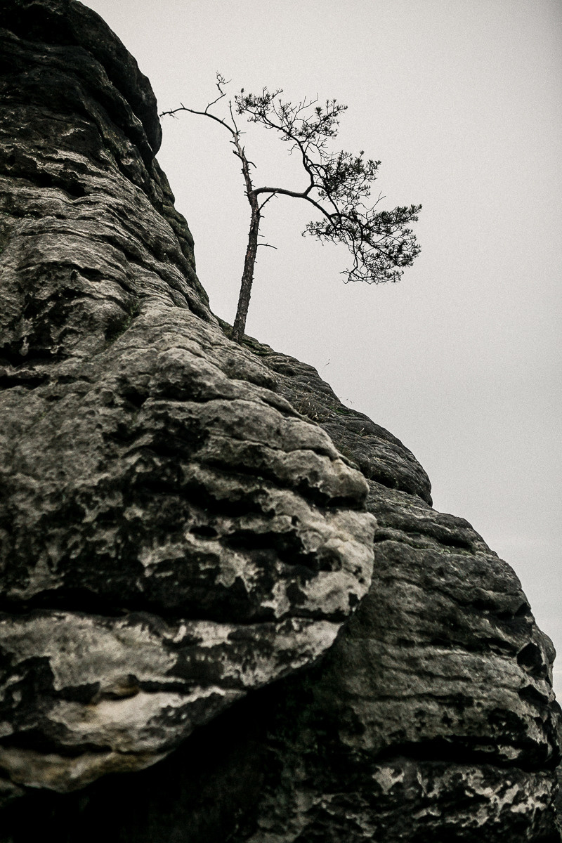Germany. Lohmen. Головна