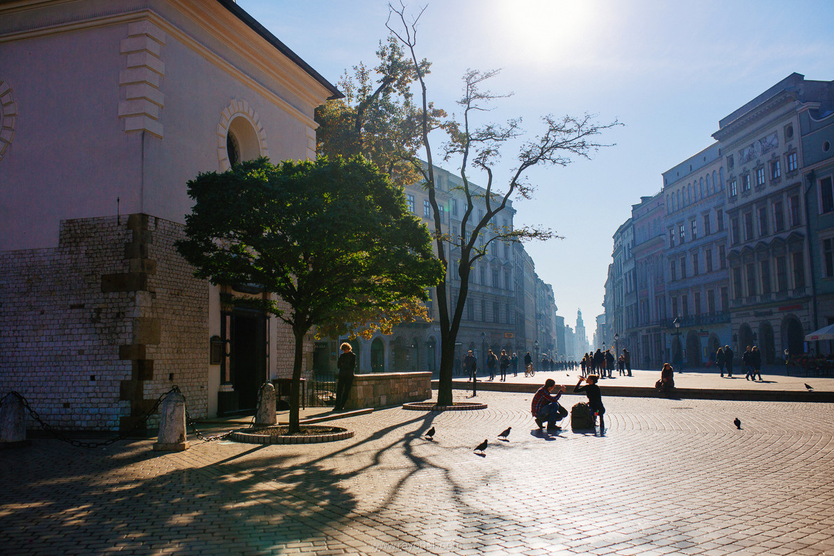 Poland. Krakow. Головна