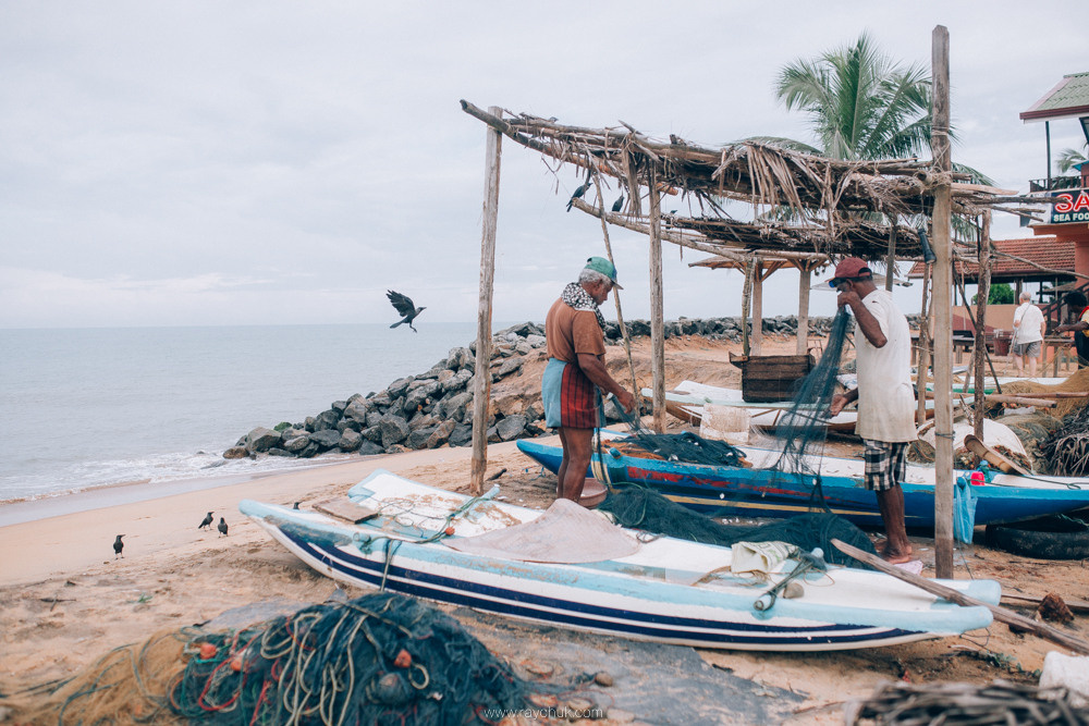 Sri Lanka. Головна