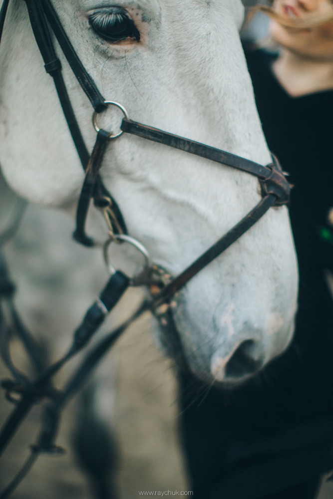 Dark elegance.Portrait. Головна