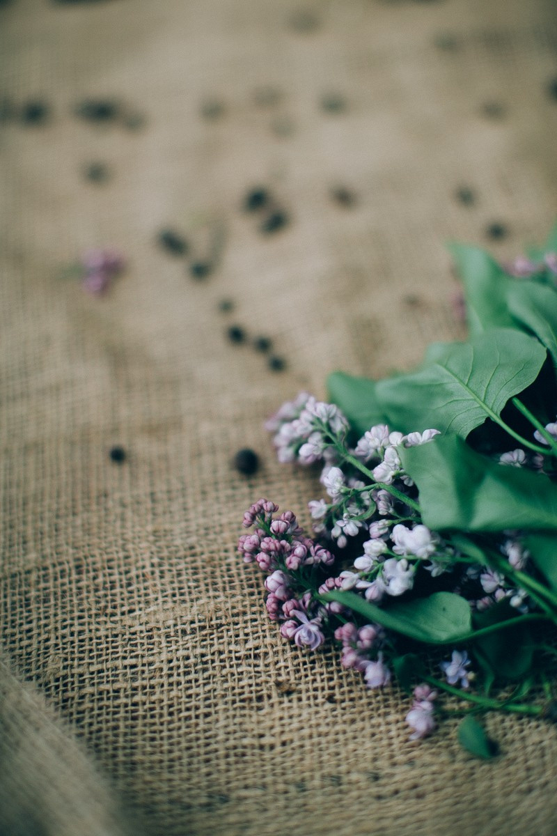 Frida. Головна