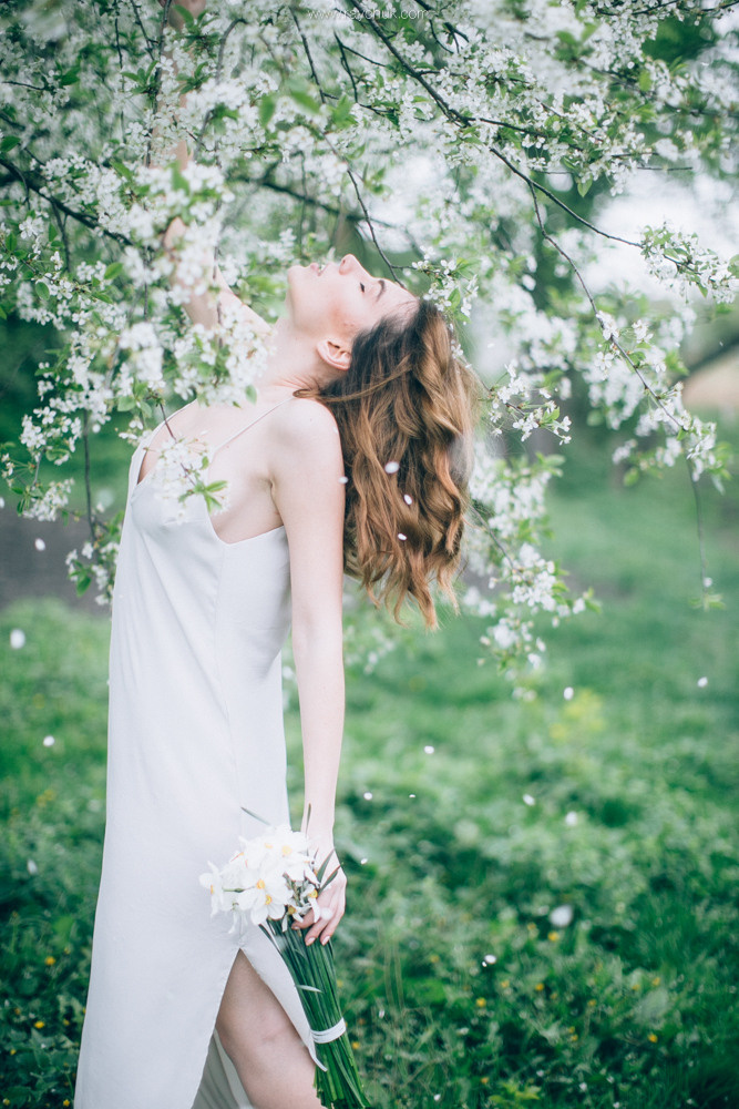 Анастасія. Головна