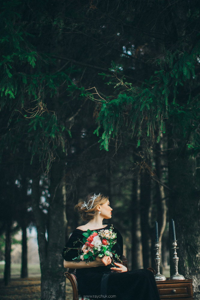 Dark elegance.Portrait. Головна