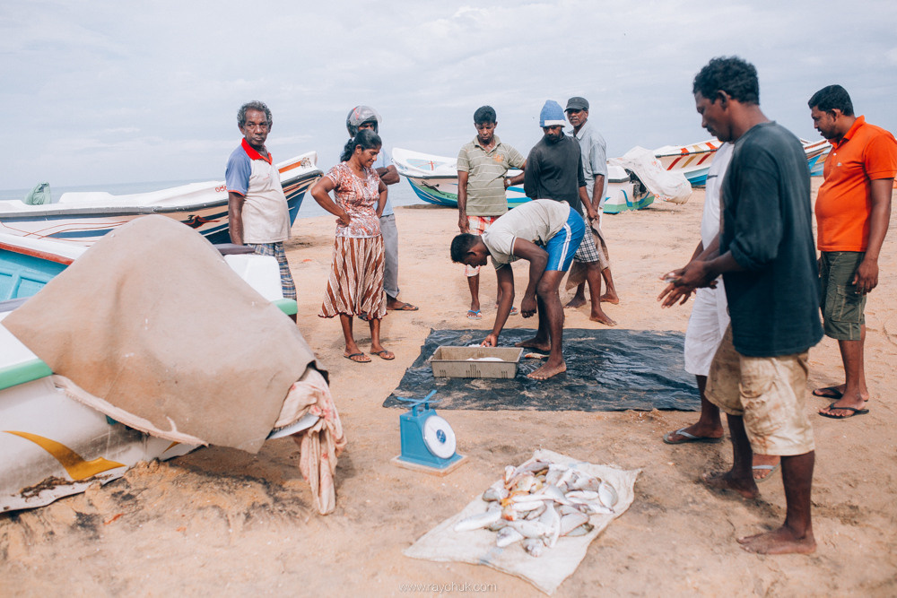 Sri Lanka. Головна