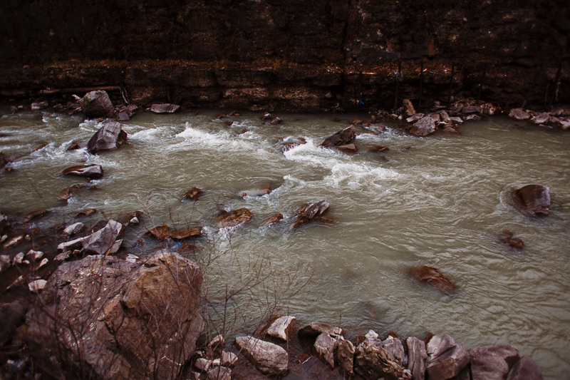Ukraine. Precarpathian. Головна
