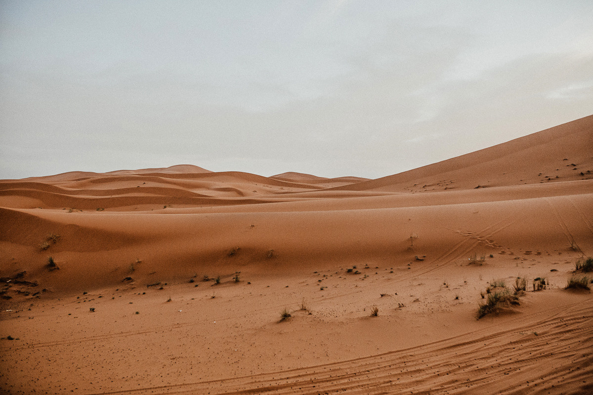 Sahara desert. Головна