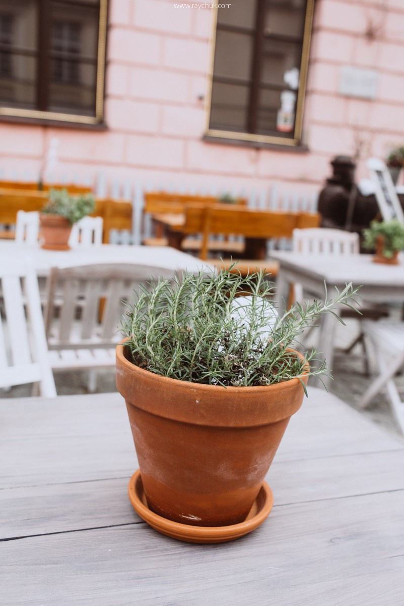 Poland. Lublin. Головна