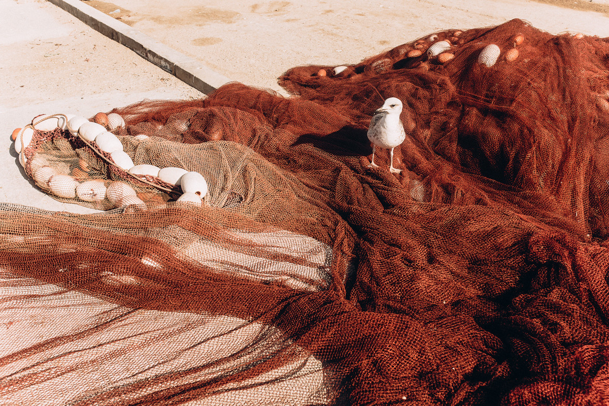 Morocco. Essaouira. Головна