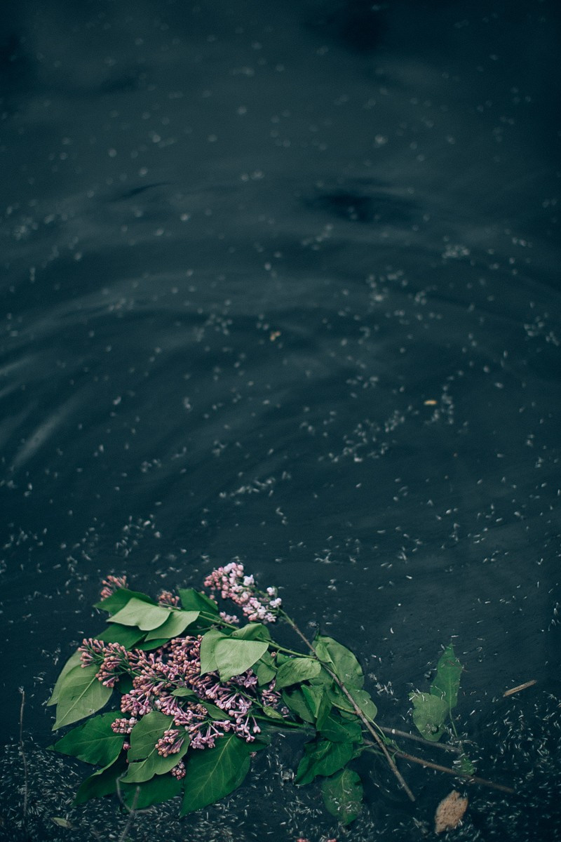 Frida. Головна