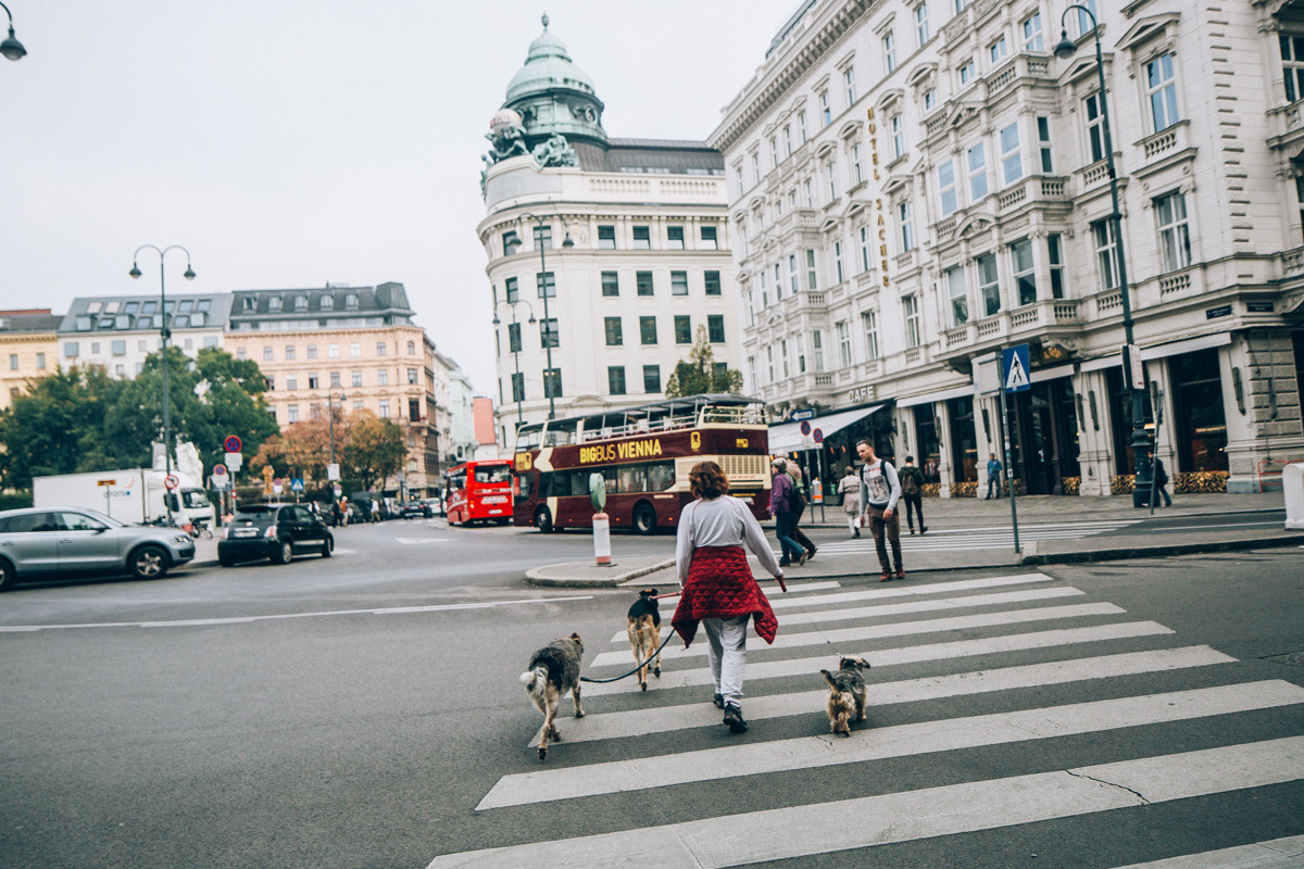 Austria. Wien. Головна