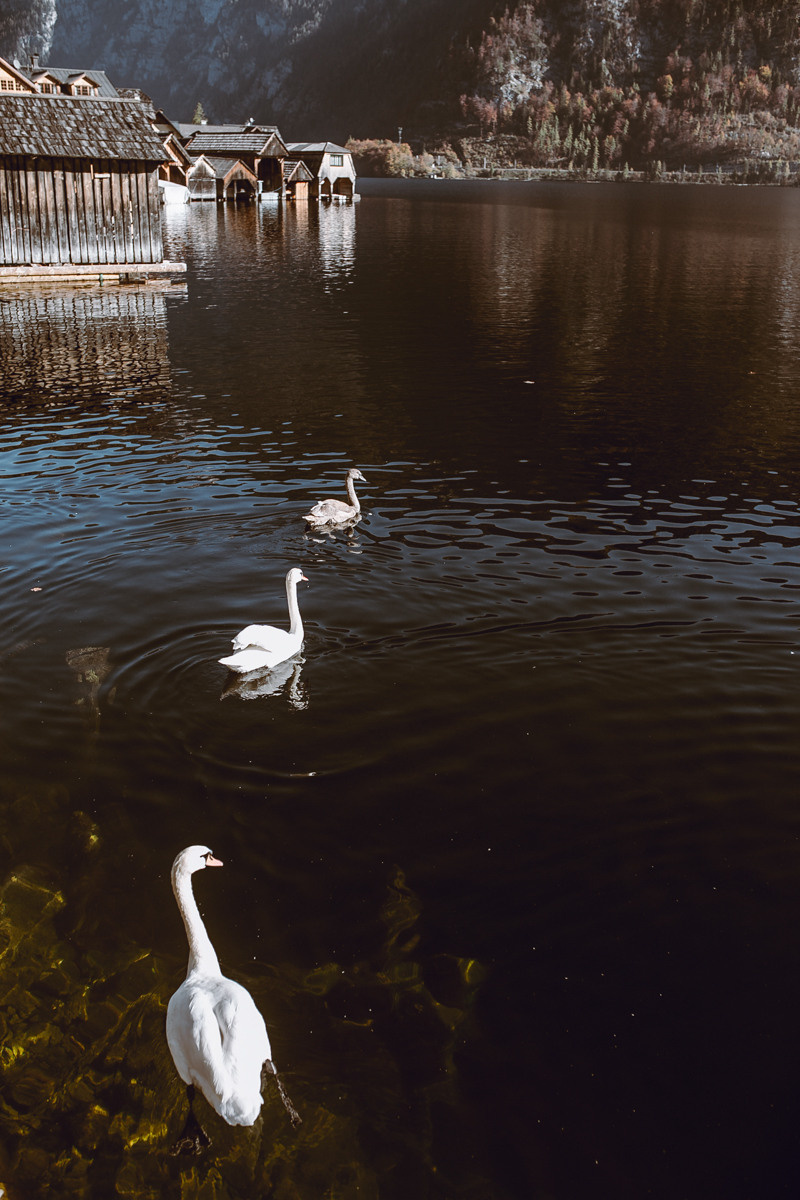 Austria. Hallstatt. Головна