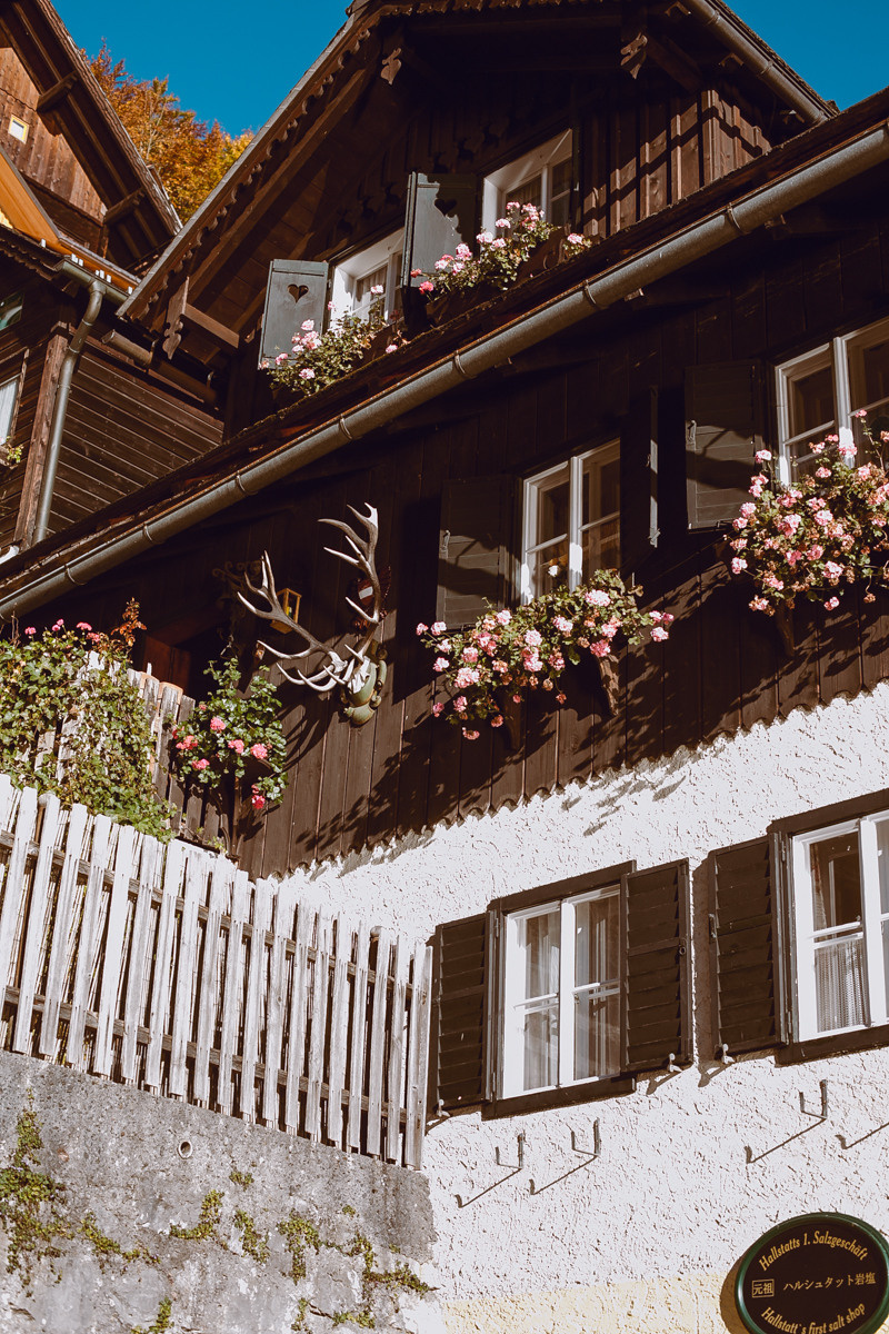Austria. Hallstatt. Головна