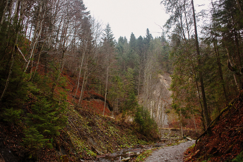 Ukraine. Precarpathian. Головна