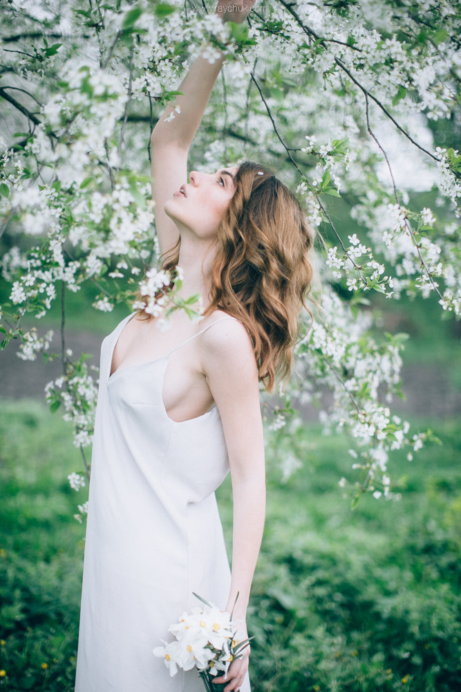 Анастасія. Головна