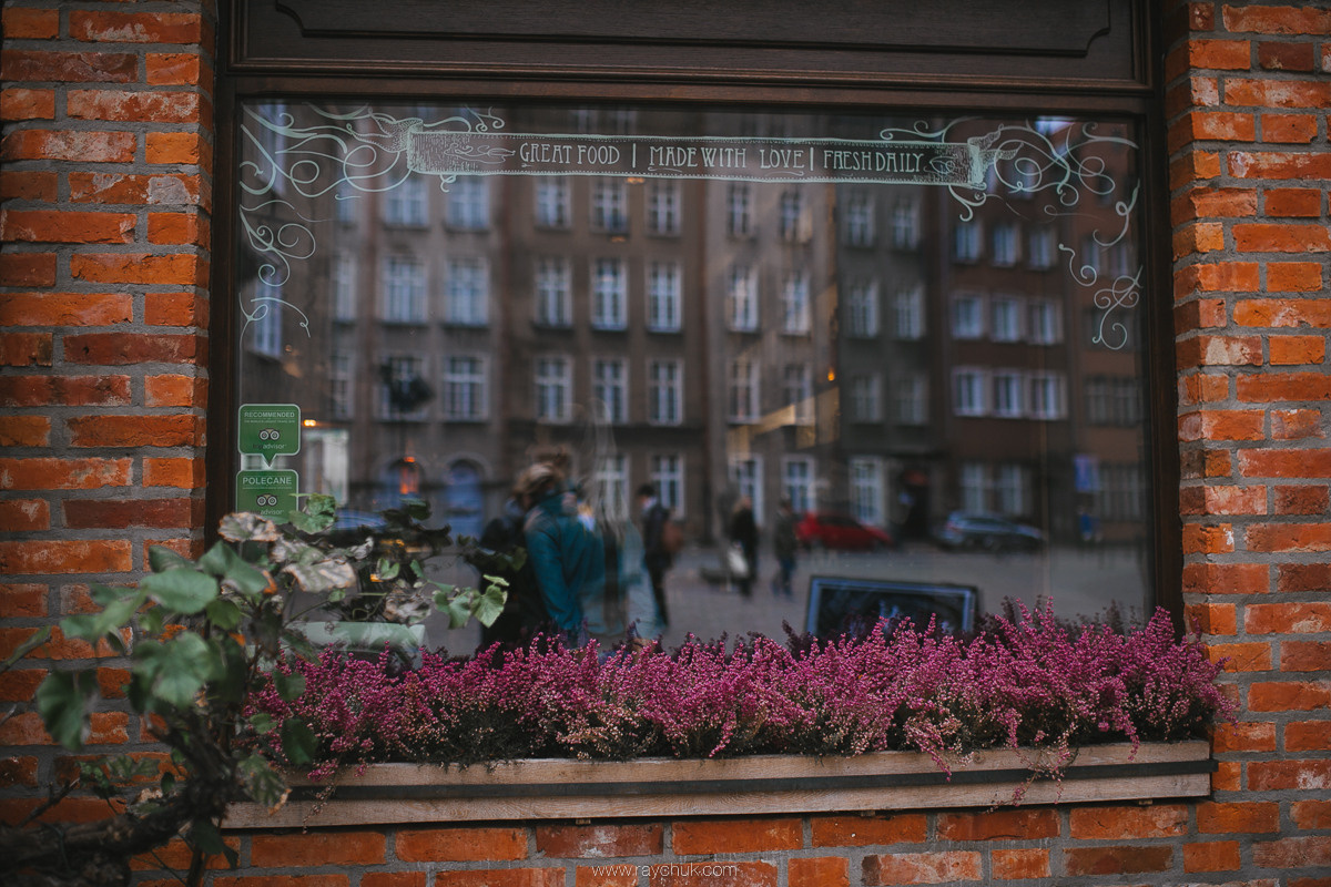 Poland. Gdansk. Головна