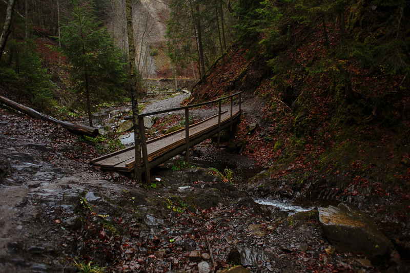 Ukraine. Precarpathian. Головна