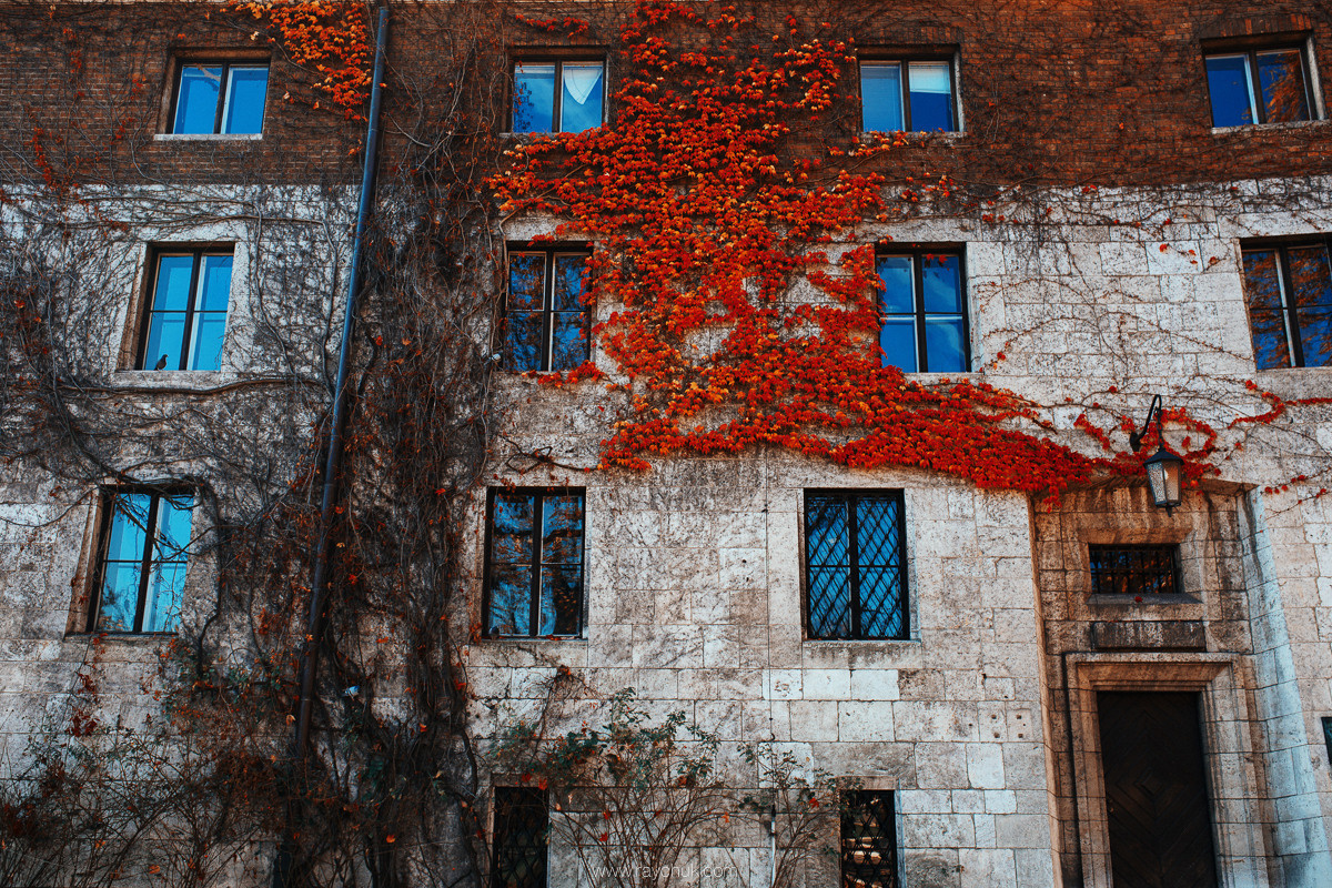 Poland. Krakow. Головна