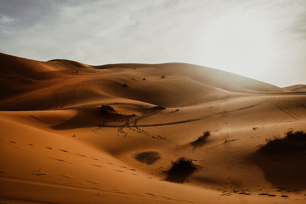 Sahara desert. Головна