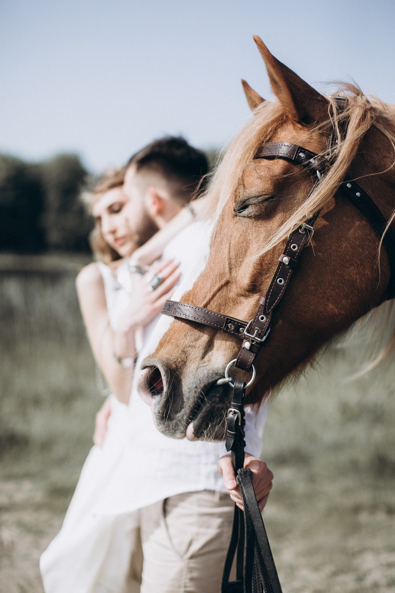 I Belong To You. Головна