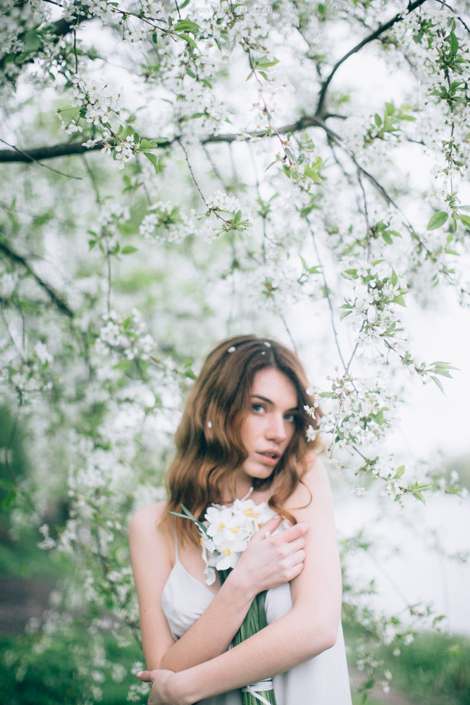 Анастасія. Головна