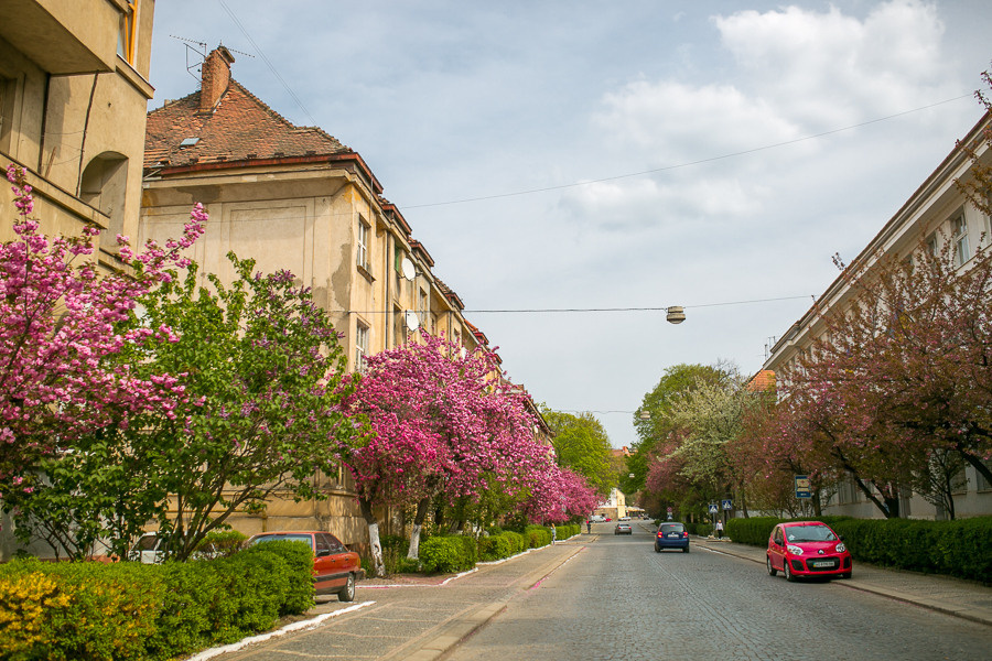 Ukraine. Uzhgorod. Головна