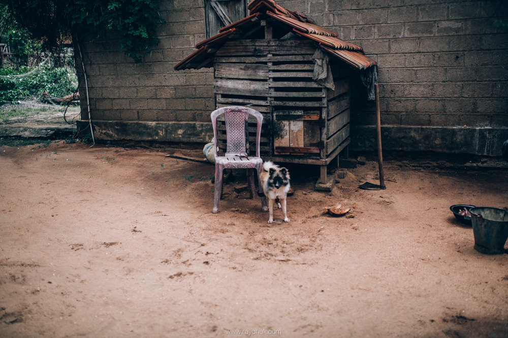 Sri Lanka. Головна