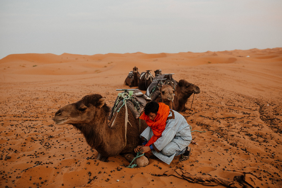 Sahara desert. Головна