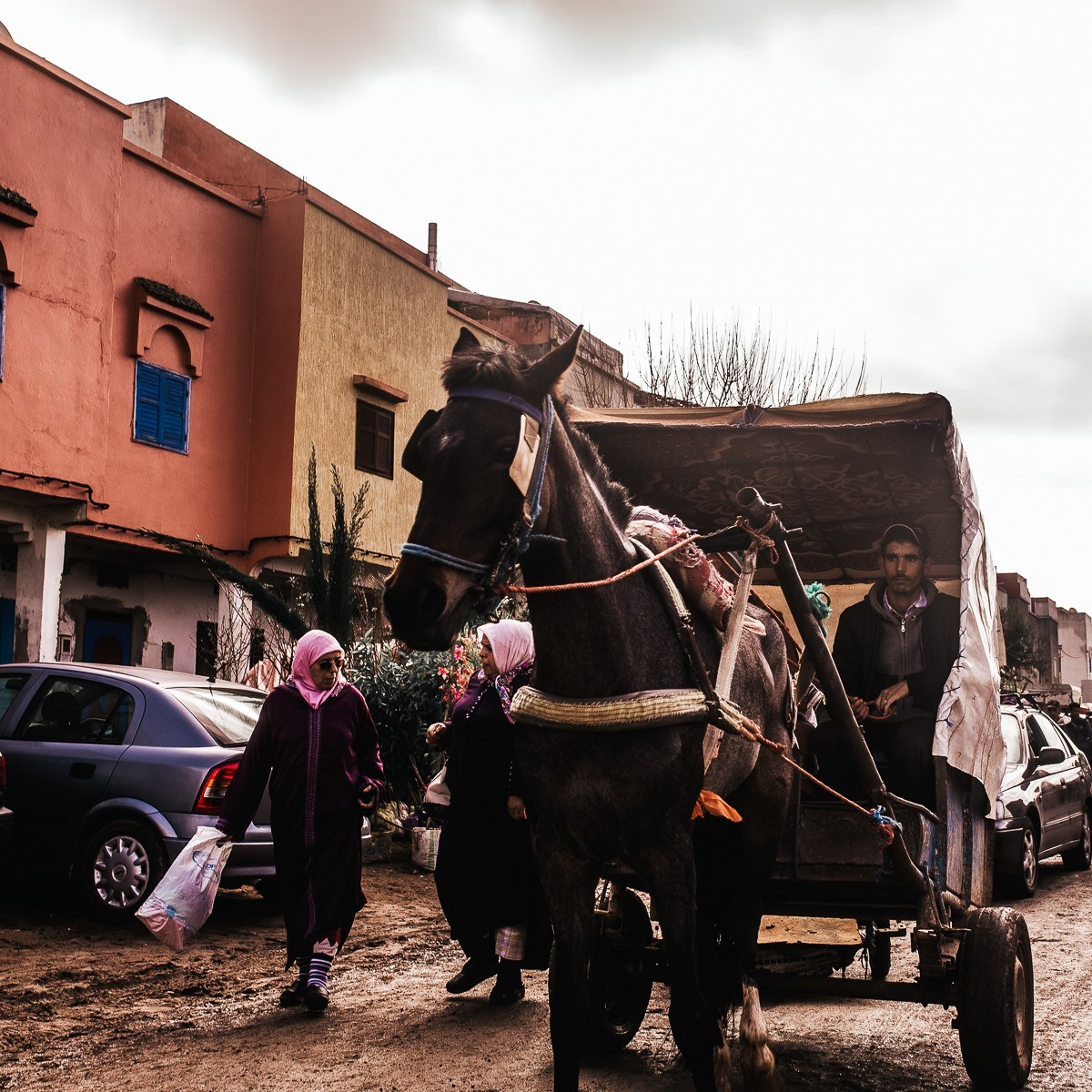 Marché marocain. Головна