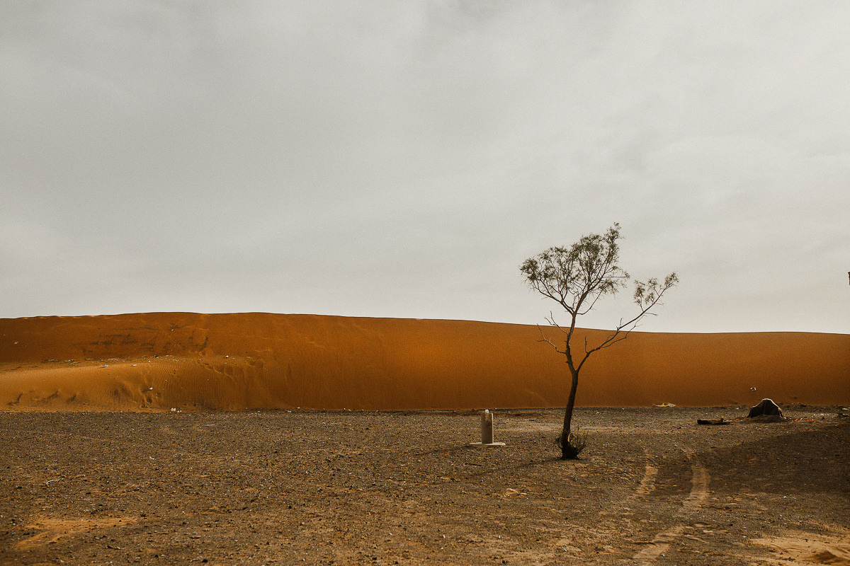 Sahara desert. Головна