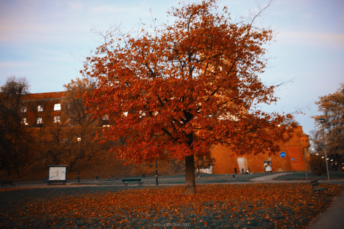 Poland. Krakow. Головна