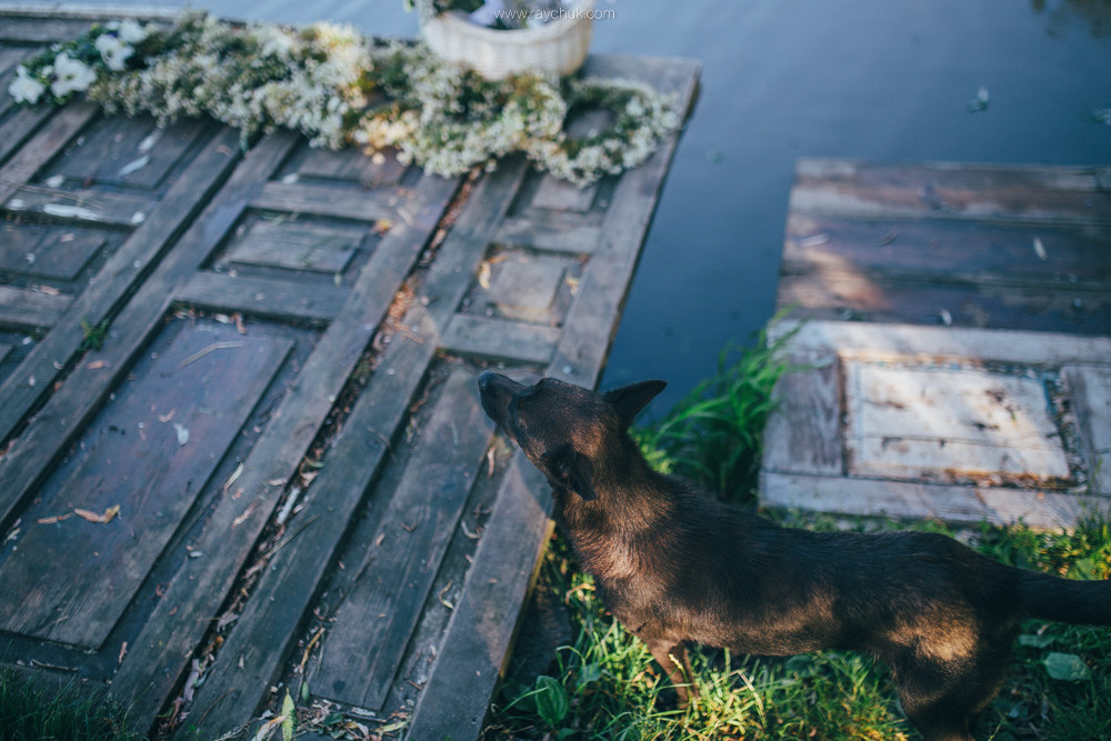 Olya and girl.Hen parties. Головна