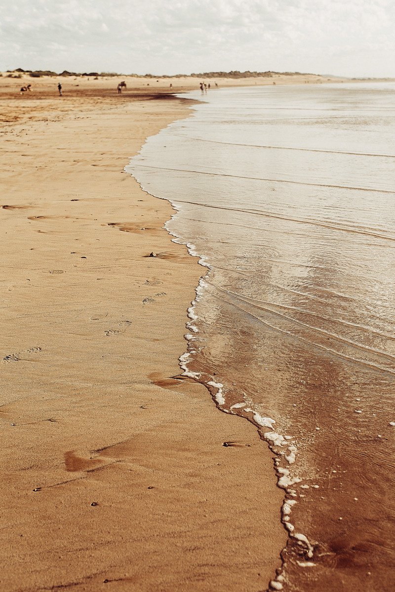 Morocco. Essaouira. Головна