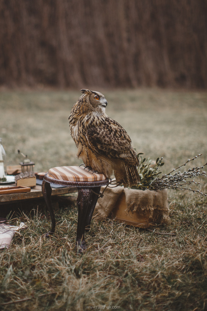 Spring is coming soon. Головна