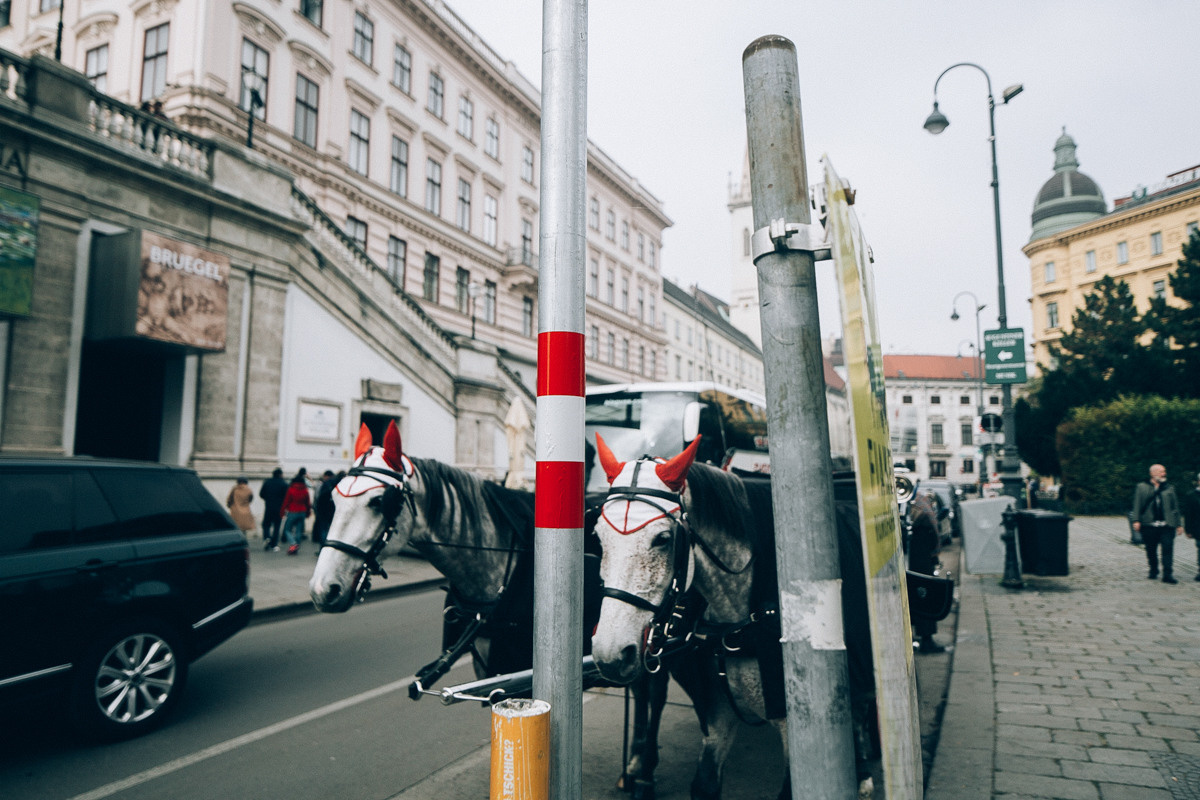 Austria. Wien. Головна