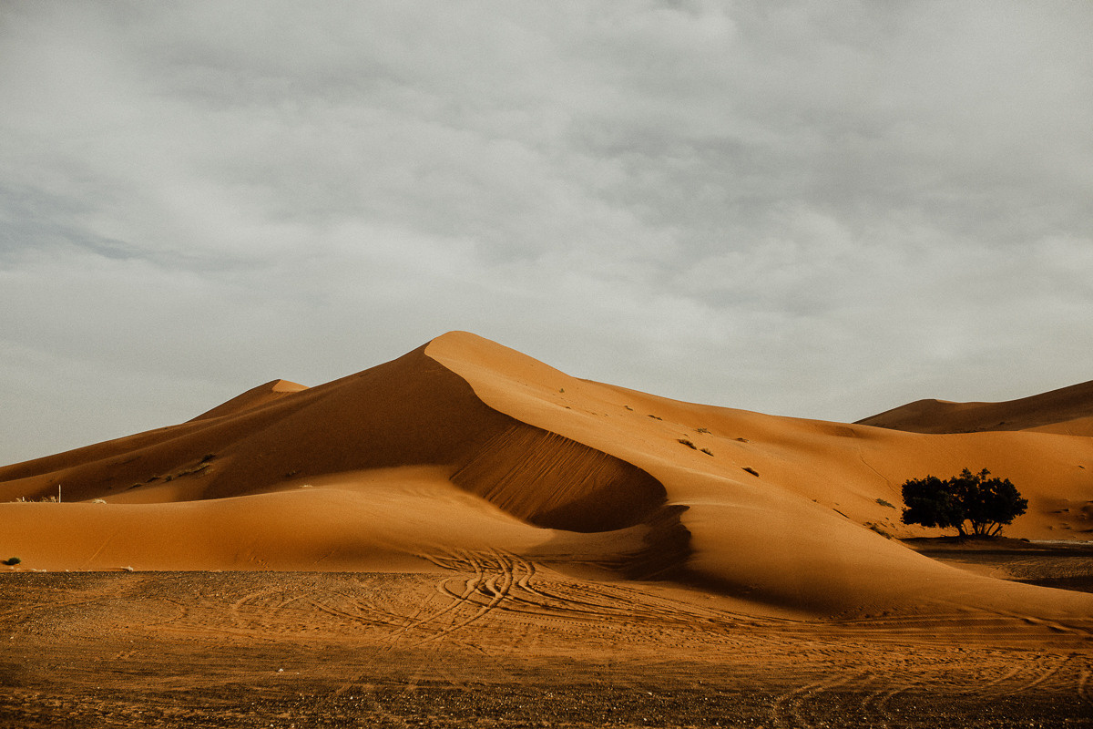 Sahara desert. Головна
