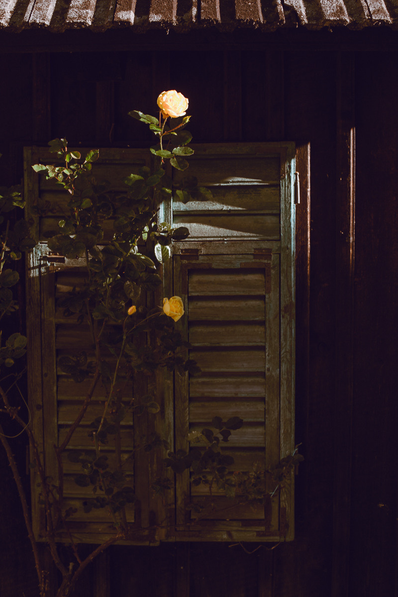 Austria. Hallstatt. Головна
