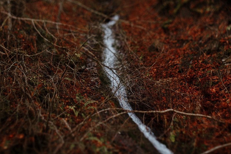 Ukraine. Precarpathian. Головна