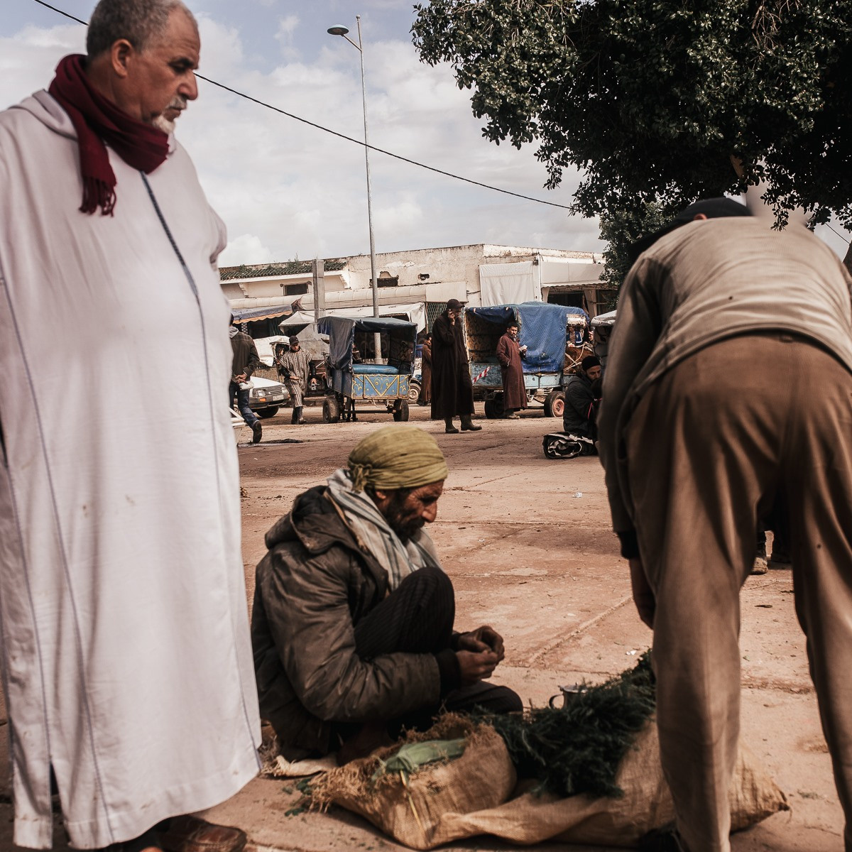 Marché marocain. Головна