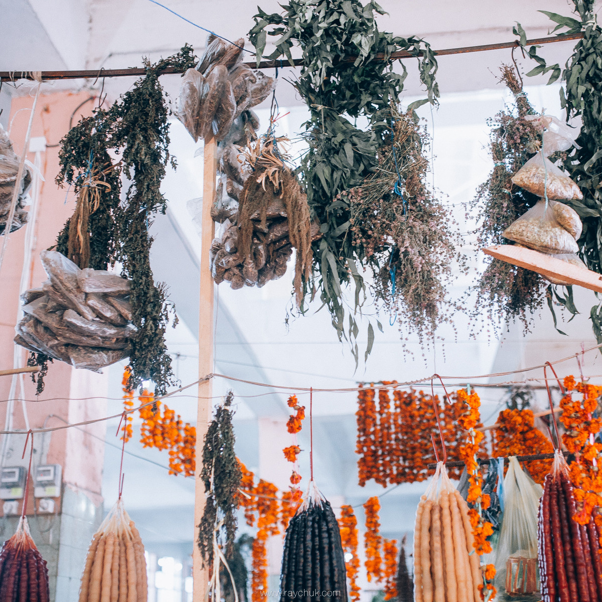 Georgia. Головна