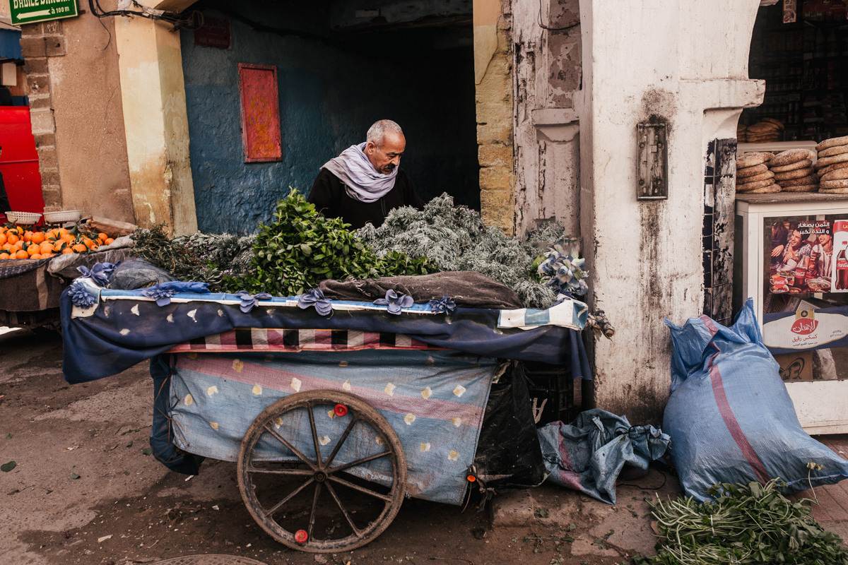 Morocco. Essaouira. Головна