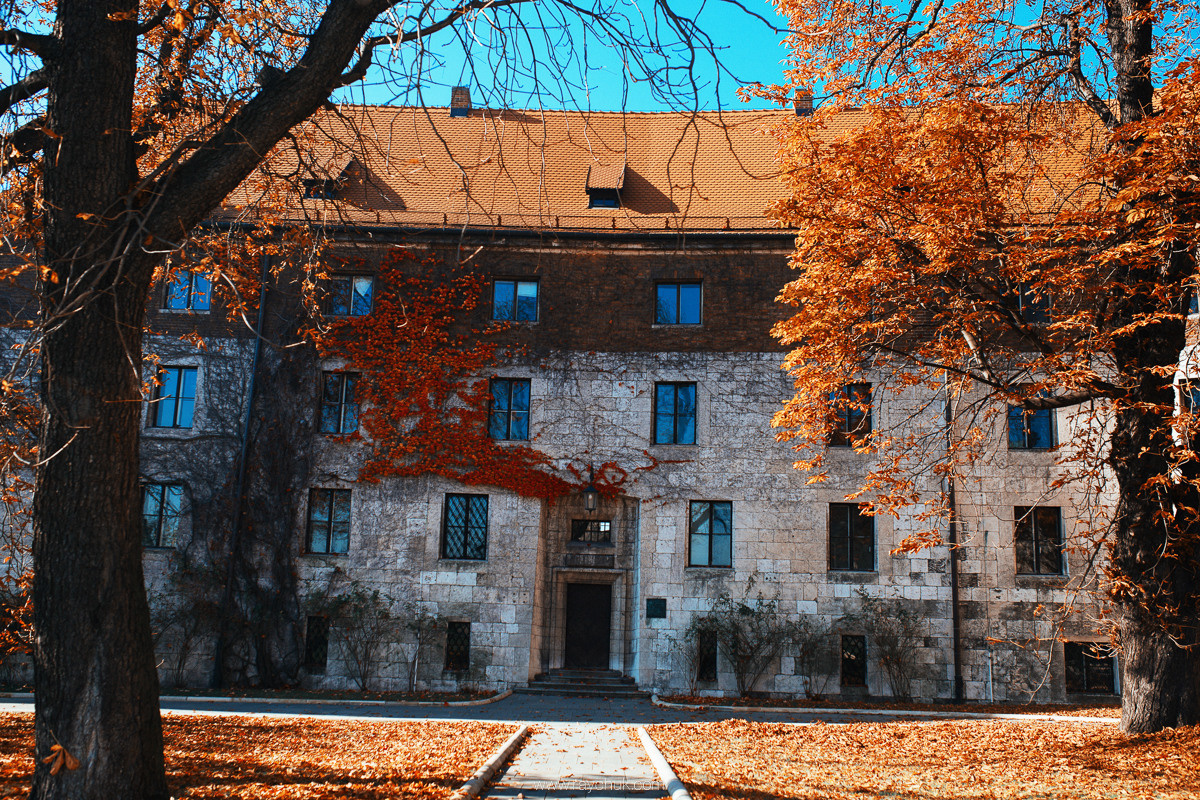 Poland. Krakow. Головна