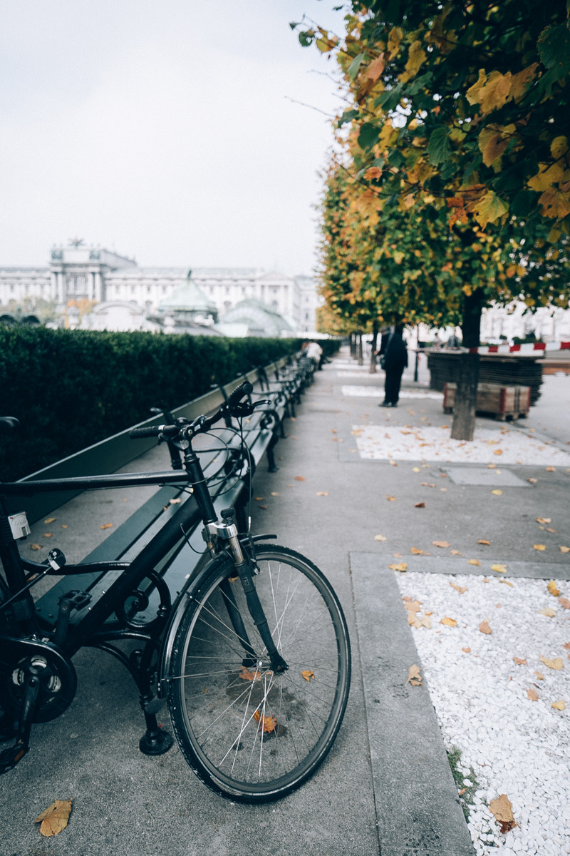 Austria. Wien. Головна