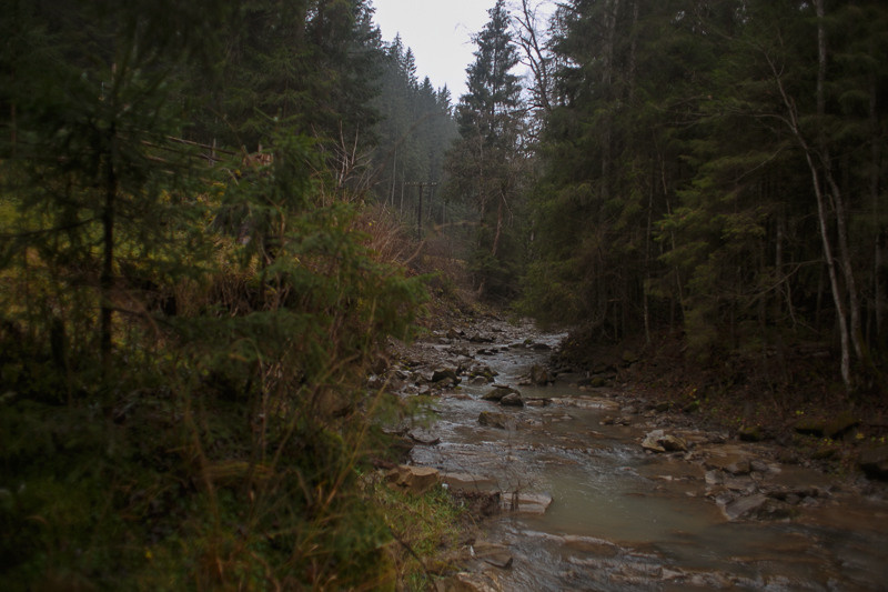 Ukraine. Precarpathian. Головна
