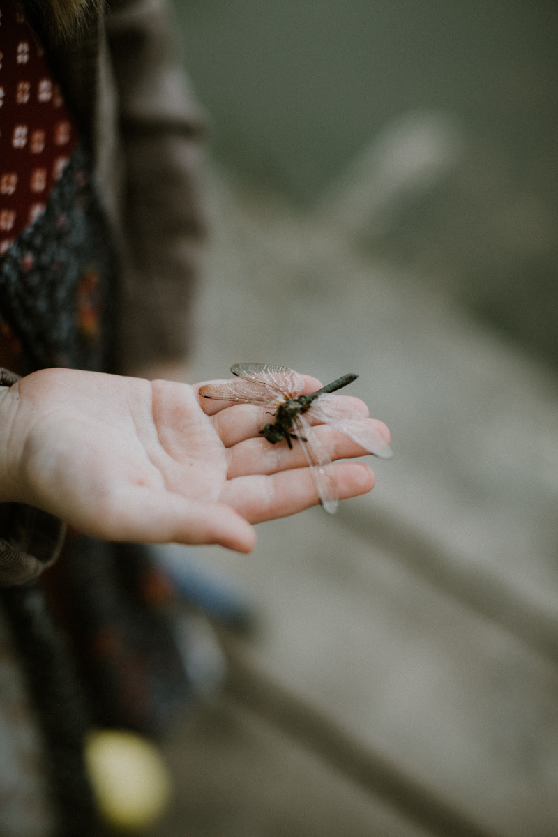 Lucy and Lisa. Головна
