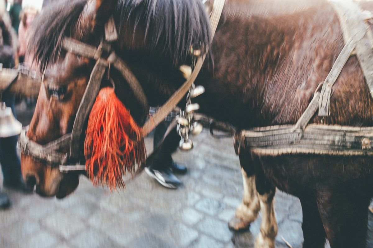 Report №9. Головна