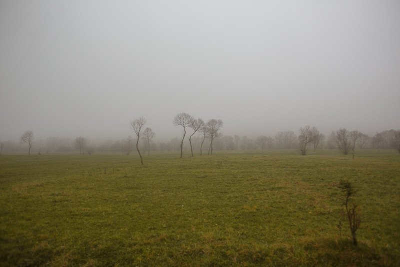 Ukraine. Precarpathian. Головна