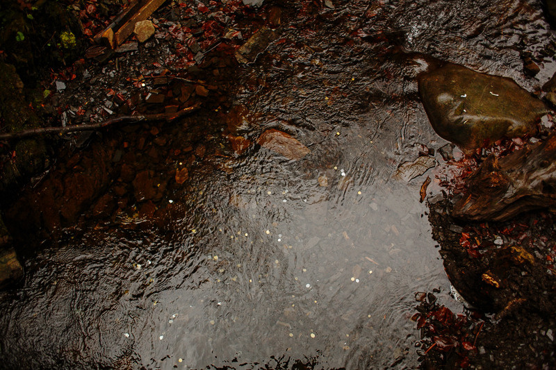 Ukraine. Precarpathian. Головна