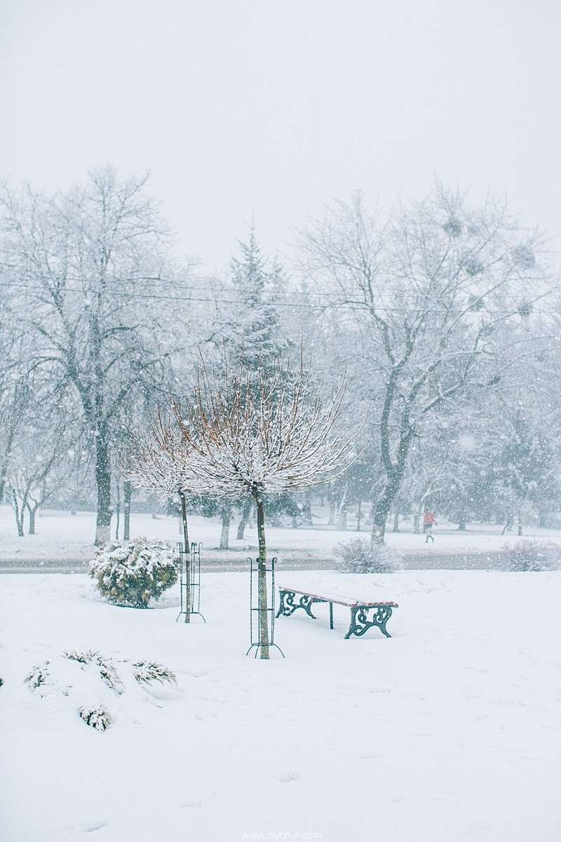 Report №8. Головна