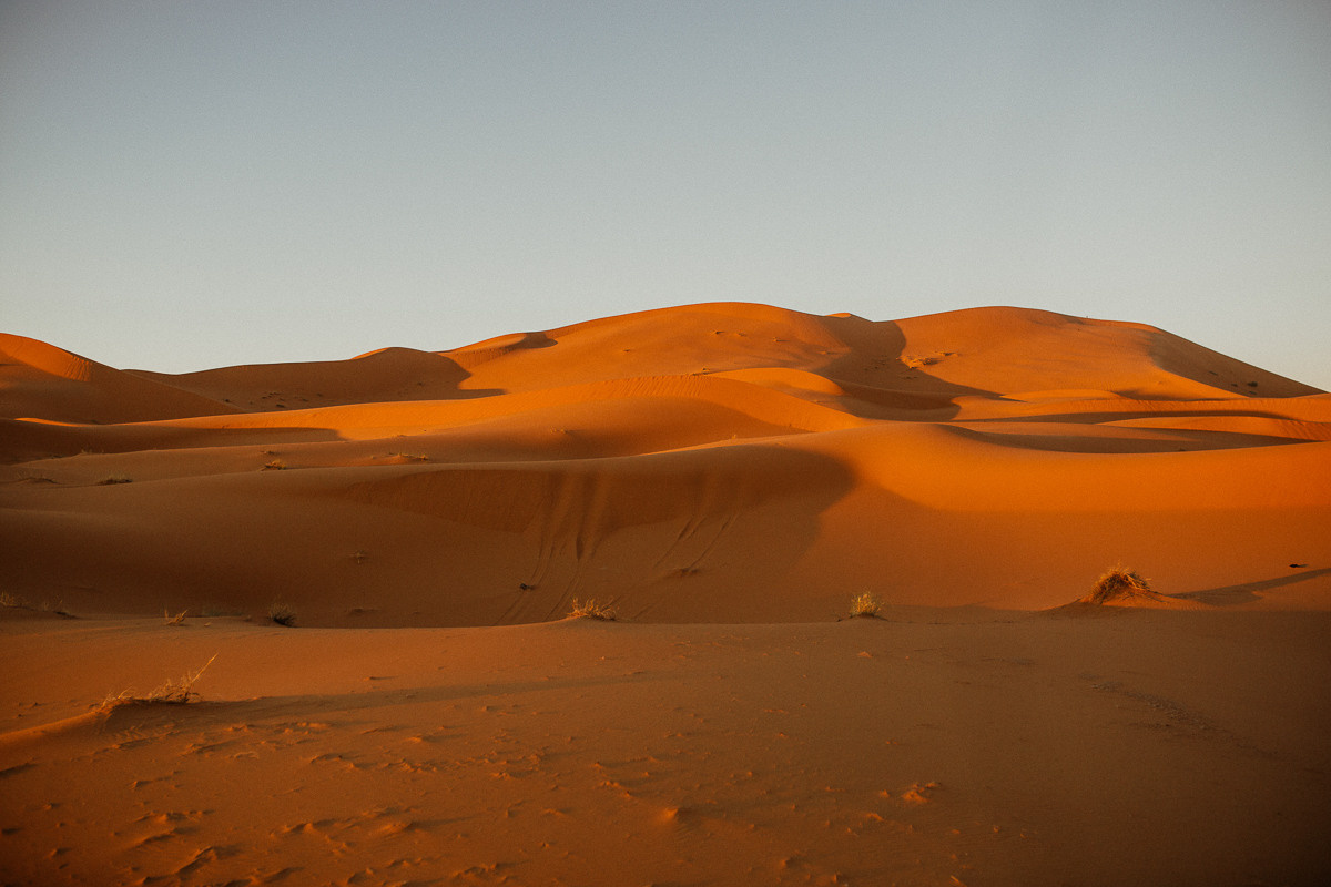 Sahara desert. Головна