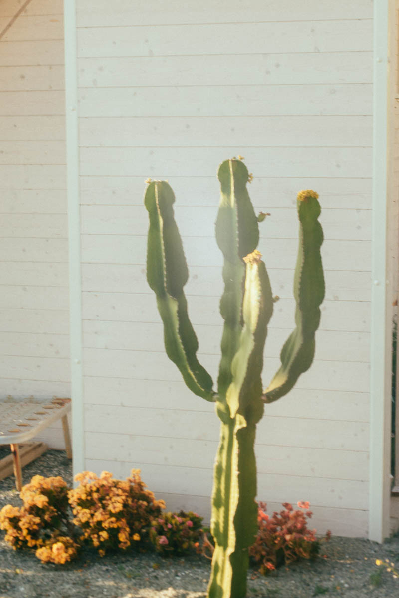 Tanya and Fabio. Головна